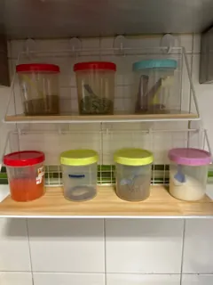 Customer photo of Wall Mounted Spice Rack, Steel Wire Grid Shelf with Wood Base